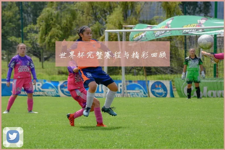 世界杯完整赛程与精彩回顾