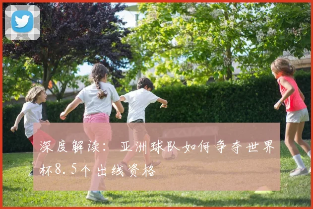 深度解读：亚洲球队如何争夺世界杯8.5个出线资格